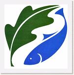 Spiralvista logo design (14)